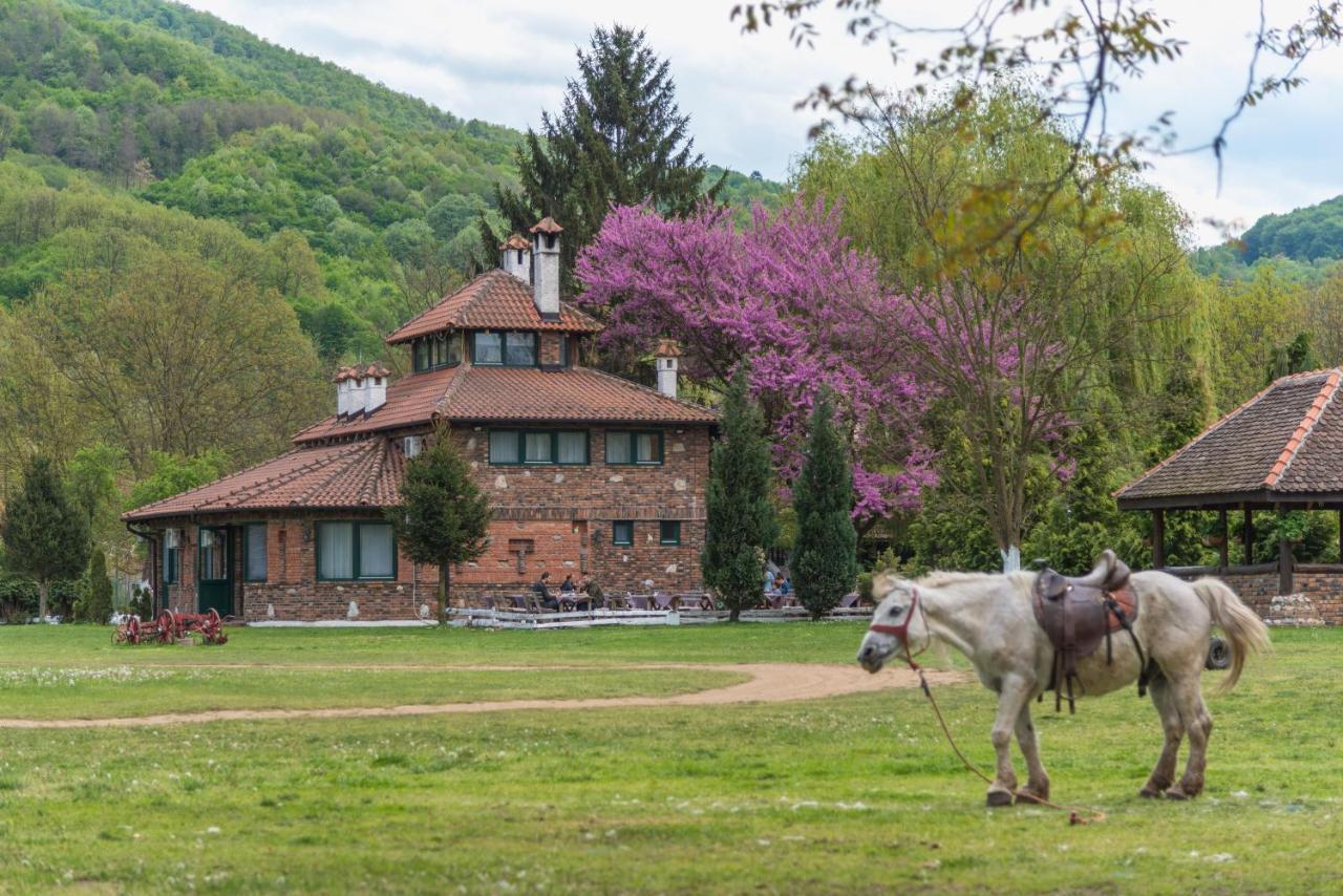 B&B Etno Village Suncana Reka Banja Koviljaca Exterior photo